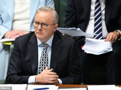 Um governo de covardes está nos levando ao desastre econômico – mas a solução está à vista… somente se Albo tiver coragem de fazê-lo: PVO