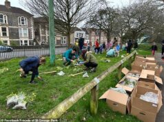 Indignação porque o conselho destruiu por engano milhares de flores poucos dias depois de terem sido plantadas por voluntários