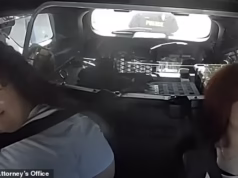 Meninas de 14 e 15 anos da Flórida perseguem viatura policial após serem presas por supostamente conspirar para matar colega de classe em ritual de sangue