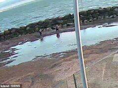 Mãe e filha são resgatadas da areia na altura da cintura quando a maré sobe em um resort à beira-mar