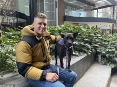 Empreendedor de tecnologia usa ChatGPT para desenvolver uma vacina personalizada contra o câncer para seus cães – e o sucesso poderá em breve ajudar os humanos também