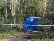 Corpo humano encontrado dentro de uma lata de lixo do parque: a polícia teme que a vítima tenha sido atropelada por um carro e depois removida