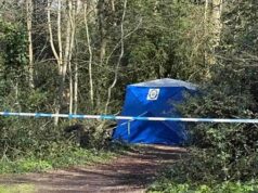 Corpo humano encontrado dentro de uma lata de lixo do parque: a polícia teme que a vítima tenha sido atropelada por um carro e depois removida