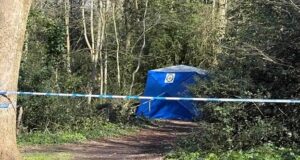 Corpo humano encontrado dentro de uma lata de lixo do parque: a polícia teme que a vítima tenha sido atropelada por um carro e depois removida