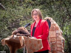 Fúria por causa da nota de US$ 530.000 em lágrimas para promover contrato em Victoria