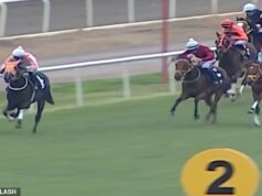 Indignação com o refeitório administrado pelo conselho, matando campeões de corrida de cavalos e servindo clientes involuntários