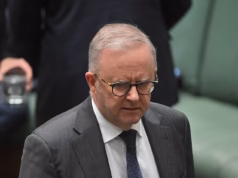 PVO: Por que a extraordinária ascensão de One Nation não é uma ascensão repentina, mas sinaliza uma mudança dramática que poderia remodelar permanentemente o cenário político da Austrália