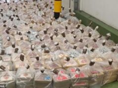 Cocaína ‘rastreável’ que cães farejadores não conseguem detectar: chefe da NCA revela que cartéis estão transportando cientistas ao redor do mundo para ligar quimicamente objetos do cotidiano