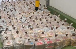 Cocaína ‘rastreável’ que cães farejadores não conseguem detectar: chefe da NCA revela que cartéis estão transportando cientistas ao redor do mundo para ligar quimicamente objetos do cotidiano