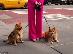 Os super-ricos estão agora a contratar “babás” adultas para tudo, desde compras de luxo até necessidades básicas.