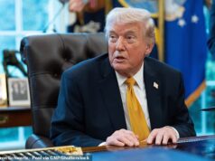 O governo albanês revida depois que Donald Trump chama a Austrália: ‘Não precisamos de você’