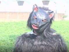 Agricultores frustrados se vestem de ursos e tentam assustar os macacos comedores de batata