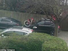 Momento ‘destemido’ ladrões vestidos com balaclava arrancam bicicletas de £ 8.000 da equipe de ciclismo de elite do teto do carro e ameaçam o gerente da equipe com uma surra massiva
