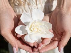 Meghan revela a nova linha As Ever com Lilibet em meio a alegações de que a Netflix tem um enorme excedente de US $ 10 milhões em produtos não vendidos após a ‘divisão’ com o streamer