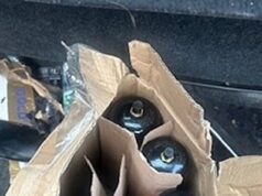 Imigrante pego com tanque de gasolina ‘hippy crack’ autorizado a ficar em hotel financiado pelo contribuinte no Reino Unido