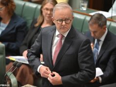 Grande problema com a solução de Anthony Albanese para a crise imobiliária: ‘sem solução mágica’