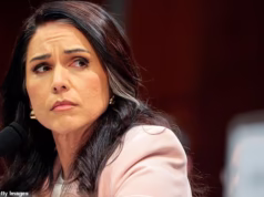 O círculo interno de Trump fuma rumores ‘besteiros’ de que Tulsi Gabbard planeja renunciar por causa da guerra no Irã.