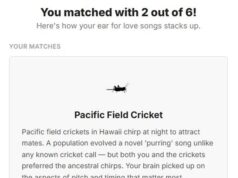 Qual chamado de acasalamento parece mais interessante para você? Faça o teste – pois um estudo bizarro revela que humanos e animais têm o mesmo gosto