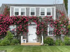 O estilo BAN do jardim cada vez mais popular de Nantucket foi ridicularizado como difícil pelos especialistas