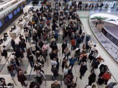 Elon Musk se oferece para pagar os trabalhadores da TSA à medida que o tempo de espera aumenta em meio à paralisação: o mapa mostra os aeroportos com filas mais longas