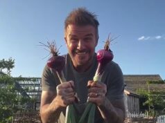 David Beckham está pronto para fazer sua estreia no Chelsea… não, ele não está saindo da aposentadoria – mas revelando seu jardim na famosa exposição de flores
