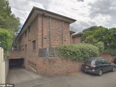 Uma violenta batalha legal por uma árvore em um dos subúrbios mais ricos da Austrália eclodiu enquanto um casal lutava para salvar sua casa de US$ 3 milhões dos danos.