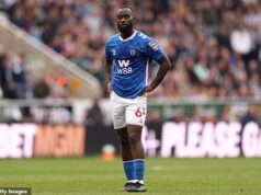 Um jogo da Premier League foi interrompido pela primeira vez por abuso racista, conforme a estrela negra do Sunderland, Lutsharel Geartruida, relatou ao árbitro da torcida de Newcastle.