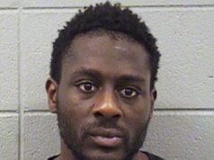 Chocado e inocente por motivo de insanidade por matar uma mãe de 34 anos e seu filho ainda não nascido em um ataque aleatório