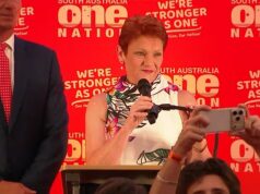 Peter van Onselen: O maior vencedor da vitória de Pauline Hanson no sul da Austrália não é o que você pensa