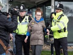 O eco-ativista que usou uma van a diesel para danificar edifícios públicos em um protesto contra pintura foi condenado a pagar apenas £ 750