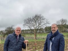 O trabalho começa no novo local de £ 450 milhões do Center Park quando as primeiras árvores são plantadas