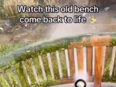 A lavagem potente é a nova terapia! Por que não nos cansamos de ver as pessoas vendo jatos limpando seus pátios bagunçados e caminhos cobertos de musgo – e onde comprar uma lavadora de alta pressão para o seu jardim