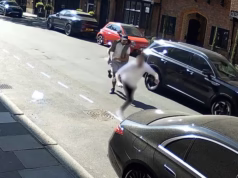 O motorista do momento persegue migrantes argelinos que roubaram seu relógio de £ 65.000 enquanto tira uma foto de seu Bentley em Mayfair