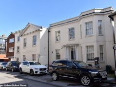 Bebê de dois anos morreu após ser atropelado pelo carro de um amigo da família na garagem ‘porque ela estava muito animada para vê-lo’, ouviu o inquérito