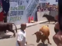 Um touro furioso do momento atinge um folião na cabeça e o faz voar – com a vítima de alguma forma sobrevivendo a um ataque de doença durante um festival peruano.