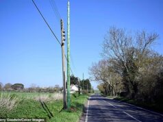Moradores chateados depois que postes telegráficos verdes foram plantados como ‘palitos de aipo’