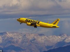 A surpreendente desculpa do inferno do passageiro da Spirit Airlines depois que ele foi punido por agredir sexualmente a mulher sentada ao lado dele no voo