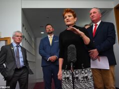 ‘Precisamos de honestidade’: Pauline Hanson compartilha um alerta severo ao governo de Antony Albanese em meio à crise energética