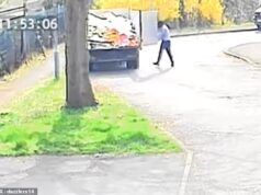 O motorista mascarado joga descaradamente todo o caminhão de lixo na estrada antes de iniciar sua jornada