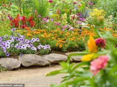 Severn Trent nos colocou em um hidrômetro sem o nosso conhecimento e não queremos isso: caso na torneira