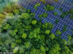 O aumento dos preços do petróleo torna a energia verde um bom investimento? Andrew Oxlade