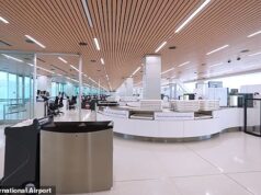 O terceiro aeroporto mais movimentado da América revela como está mantendo o tempo de espera da TSA abaixo de 12 minutos, enquanto os passageiros de outras cidades esperam cinco horas