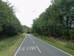 Menino, quatro e uma mulher de 79 anos mortos em acidente de cinco carros em Louth