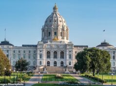 Os estados azuis profundos permitirão que os legisladores levem seus filhos ao plenário da câmara