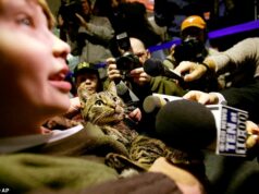 Histórias incríveis de sobrevivência animal – desde um cão chinês em casa conduzido por um corgi até um elefante que escapou de um zoológico e percorreu 300 milhas pelo país