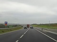 O motorista imprudente do momento dirige um caminhão em uma estrada secundária – mas não é o motorista quem mais irritou os espectadores do clipe.