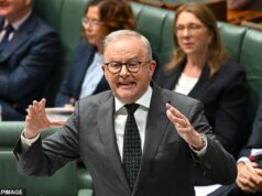 As restrições de combustível da era Covid não são uma conspiração. Mas a verdadeira questão não é se Albo finalmente aguentará a bala – mas se o seu governo sobreviverá à traição: PVO