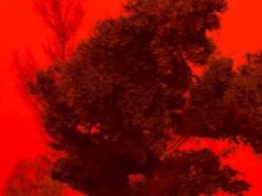 Australianos pegos no caminho de destruição do ciclone Narel avaliam os danos depois que toda a cidade ficou coberta de poeira vermelha durante ventos de 100 km/h.