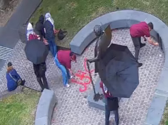 Sete mulheres acusadas de desfiguração de estátua australiana – depois que vândalos tentaram usar guarda-chuvas para evitar a captura