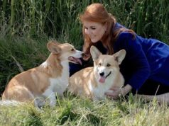 Fator X para cães, alguém? Sarah Ferguson explora o formato de reality show enquanto tenta se reinventar como empreendedora de TV.